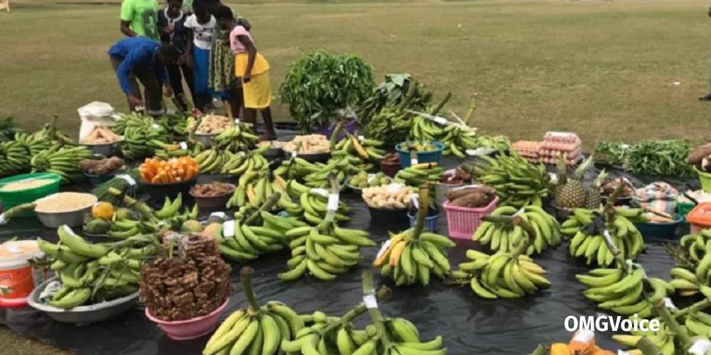 Planting For Food And Jobs ghana