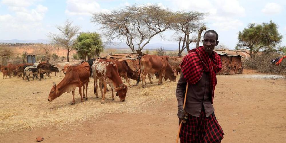 Drought In Kenya